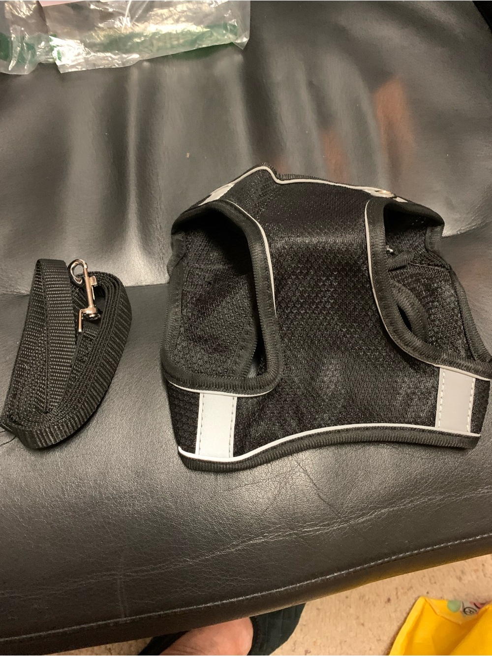 Black Dog Harness with Matching Leash